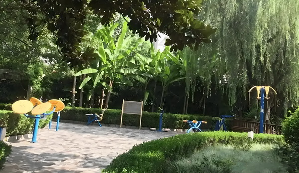深圳本科落户政策_你属于我，酋长近端锋凯尔西首次晒出与霉霉恋爱后的甜蜜合照 凯尔西首次着天享受伦之乐